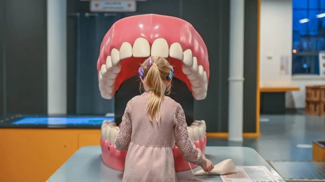 Ile trwa wizyta u dentysty? Od przeglądu po kanałowe realne czasy.